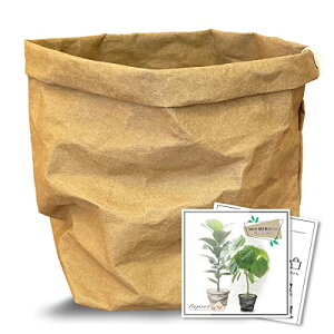 lapset Jo[ ϗtA  k  VRf U[ Ntg 7 uE LTCY