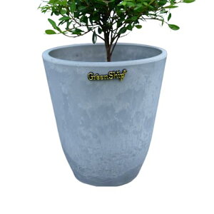 Greenship Aؔ 4 Jo[ ^e[u v X`bNΕ ΕV^  Jo[ CgO[