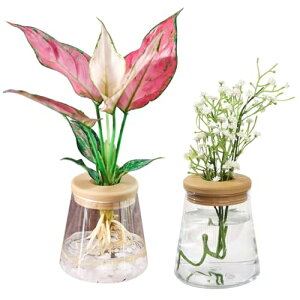 geneX nChJ`[ k͔| ϗtA 琬Lbg  vX`bN |bg (tXR^) 2Zbg