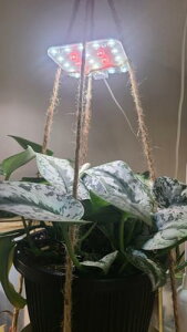 DOMMIAA琬CgAF \ȐA琬 ledAwYtSXyNgA^C}[tApAA_v^[tUSB琬A led