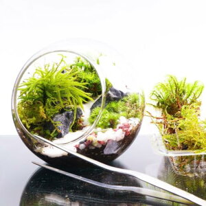 yX^[^[Lbgz12cm  Zbg ۃeE eE v[g REm}lOT  쐬Lbg nhCh  Mtg CeA ϗtA ۂ̕i