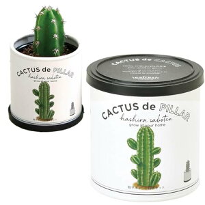 V| ʔN ƒ؉ ȒP ͔|Lbg Ă  T{e ͔|Zbg ( R ) ̌a7cm CACTUS de CACTUS ̓ v[g a GD-93002