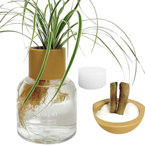 3world nChJ`[ k͔| ϗtA 琬Lbg X|Wt  vX`bN |bg S {g^ SW2492(NA)2Zbg