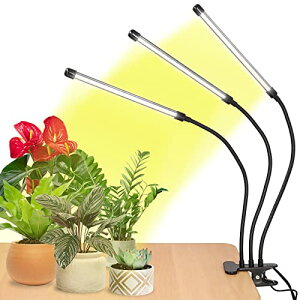 BSGY A琬Cg LED y{uhz 100W Ap ͔|Cg Nbv X^ht 3wbh 360xA[ /؂ւ/^C}[