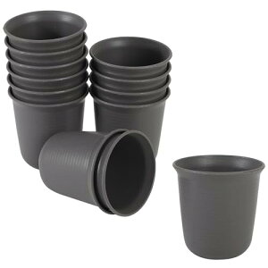 AllBright ~Aؔ vX`bN ꌊt A K[f A T{e 10_Zbg (a9cm 10Zbg)