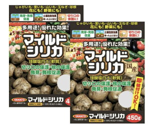 }ChVJ }gR[|[V 450gA͍ |p ؁EԁEϗtA yǁE̔BE̐i (2)