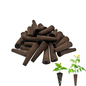 yBookwarmzy30Zbgzk͔| X|W k͔|Lbgp zX|W lߑւ|bhby͔| cx[XbĐ\ K[fΉbƒ؉EnCOEEkX|