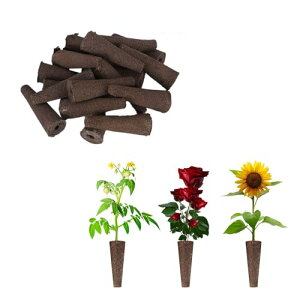 k͔| X|W 10 AX|W k͔|Lbg kX|W ͔|Lbg lߑւ|bh c  K[f A琬