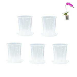 sonea Aؔ Xbg ϗtA  A v X^h AؔX^h Mt  5Zbg