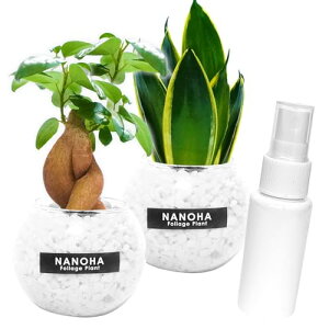 KW}ƃTXxÃ~j~j{[ij~j{gt ϗtA { NZbg yg킸qI  CeA nChJ`[