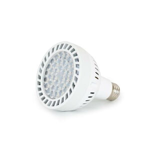 qdC 琬d A琬Cg F LED E26 z d ϗtA////k͔|  琬Cg F Px ȃGl 22w 3800K