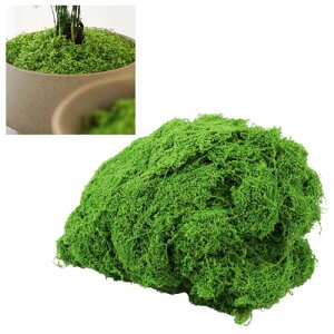 lH tFCNO[ ϗtA ~  A  WI} ͂Ȃ (O[)