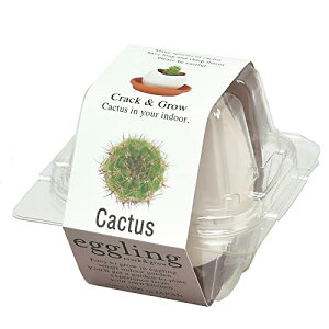 V| ƒ؉ ȒP ͔|Lbg JN^X    ͔|Zbg 8×7cm GbOO NApbP[W ̓ v[g a EG-5703