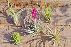 GAvc 5Zbg eBWA `WA GA[vc