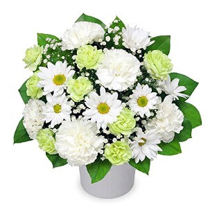 Ě݂ ԃL[sbg   @v @    ~ ފ ~V~ l\  ̃AWg yr00-512601