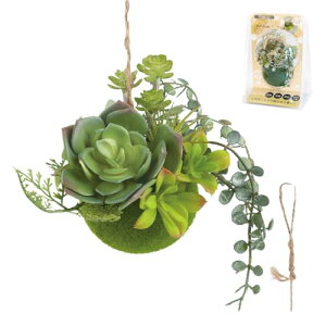 tFCNO[ ~j ݂艺 L A ۋ C CTG} GNA STCY B^Cv