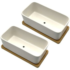 FJmark Aؔ A 픫 v^[ T{e 󂯎M gCt ` (2)