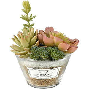 tFCNO[ RہELEh lHϗtA CTG} eE KX۔ LTCY 񂹐A A T{e A