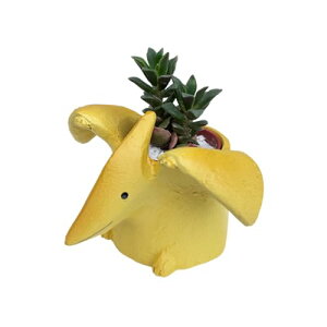 Ԃ̃Mtg A   g Mtg a 킢 CeA v`Mtg