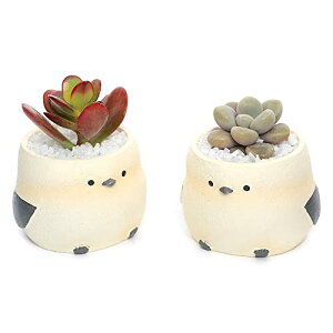 ycharmziϗtAj܂v` gAj} V}GiKi1j ł܂鍻 kC~Gs