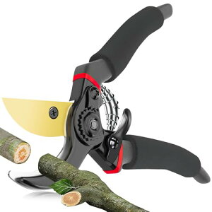 Kemiuu oT~ y2025lCt̂߁z  ΂ SK5Yf| A~ ϋv5{ }؂oT~ |nT~ |p͂ Kтɂ ₷ ʎ  ~ 뉀