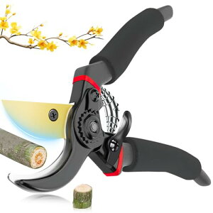 Kemolpo ΂ |nT~y2025lCt̃vIzSK5Yf| tbfR[eBO dx  Kтɂ ₷ Ռzol SbNu }؂ Ԑ؂ A ʎ ~ 