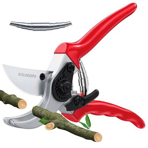 y2025lCt߂̙oT~zSOLOTODO v ΂  hCcZp̗p ؂ꖡ4{bSK5Yf| ϋv5{bKтɂbɂlԍHwA~Obvbyʉ 