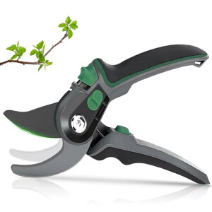 y2025lCtEzoT~ Bhgytec  ΂ 2iK߉\ SK85Yf| A~ }؂oT~ |nT~ |p͂ Kтɂ J35mm yʉA~nh 