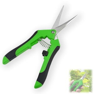 |nT~  oT~ nT~| nnT~ XeXn n^Cv S16.5cm yʂň₷ K[fjOp Ԗ؂⏬}̙ɍœK O[nh