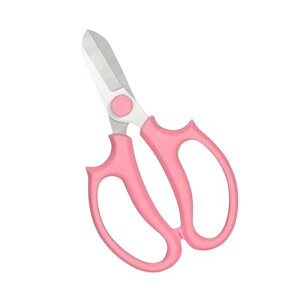 KENASTA oT~ |p͂ @\Ԑ؂ V^fUC y ʕ   ~ vp g~O (sN)