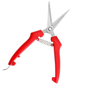 MAEXUS ΂ y2025lt߂̙oT~z |΂ XeX  ʎ̉Ԃ̎}Eݖ؂̙ KтɂblԍHwɊÂnhbyʂŎ₷ S