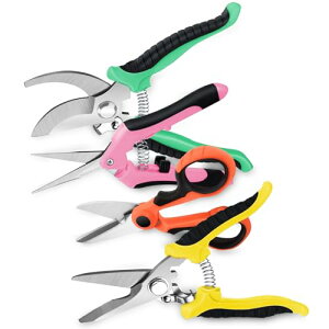 oT~ 4 ΂݁y2025lCtŐVEzYf|  |΂ }؂oT~ ؂ꖡ |nT~ SbNt  o  Kтɂ ₷ XeXX