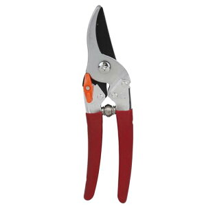 T{e v^Cv ōn| ؒf\20mm No.1255