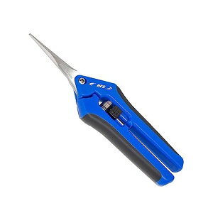 HFS(R) nT~ 뉀 |p͂ ΂ K[f 荞݂΂  ʎ ~   y SbNt