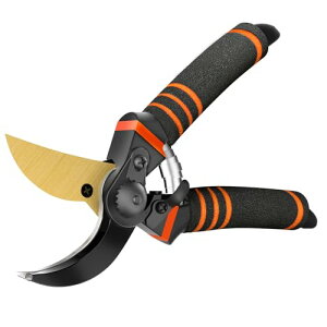 SURFOU oT~ ΂  |nT~ ~ Aؗp }؂oT~ SK5Yf|n Kтɂ  nT~ } K[fjOpi ₷ |pi