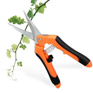 nT~ ΂݁y2025lCtŐVEz|΂ |Yf|n   | ₷  }؂؎nɓKp ~͙ Ԃ͂ ؙoT~ ʎnnT