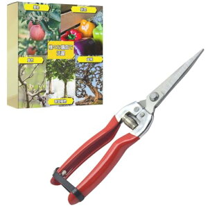 ideamall  ͂ |p͂ |Yf|n  ʎ ؂̙ ~͙p