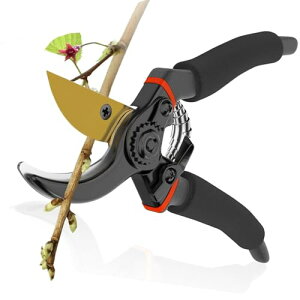 baokaisoT~ ΂݁yt̂߁zSK-5Yf|n bN@\ }؂oT~ Kтɂ [ɕ֗ y ₷ ΂ |nT~   K[fpi 