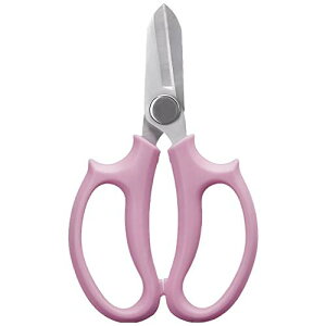 J[ Abindianzis |p͂ }؂ }؂͂ ~ 뉀 |֗ObYisNj