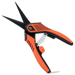 Yeeco ΂  |͂  nT~  }؂nT~ Ă΂ _ ƒ؉p Trɋ