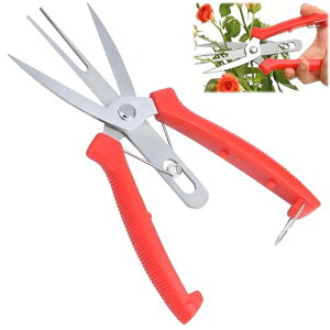 oT~  JnT~1{Zbg E  |p͂ SbNt U^یa ԂʎȂ ʎ  }؂͂ J͂ߖ ʎԙpԈnT~ 뉀