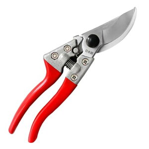 ΂ |͂  |p͂ 荞݂΂ v̙΂݁ASbNt̃vp΂ ϋv |p͂ oCpX^Cv SK5 X`[ {| 뉀/