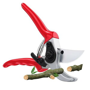 v ΂  hCcZp̗p ؂ꖡ4{ SK5Yf| ϋv5{ Kтɂ ɂlԍHwA~Obv ₷ yʉ }؂oT~ |nT~ Ԑ؂  