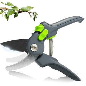 y2025Vo vdlzoT~ ΂ 2K߉\ |p͂  SK5| Kтɂ ₷ ؂ꖡ3{ }؂oT~ y 뉀 K[fjO ϗtA |pi