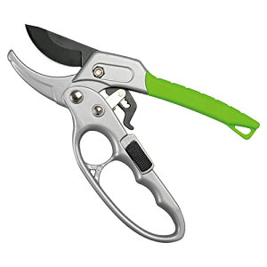 RCt `Fbg̃K[f΂ |p ͂ }؂΂ Xgbp[t 4iK ؑ }