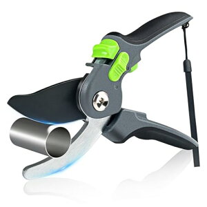 |p͂ oT~ 2iK߉\ SbNt ₷TNTN؂ lC   }؂  ʎ ~ 뉀  ͂