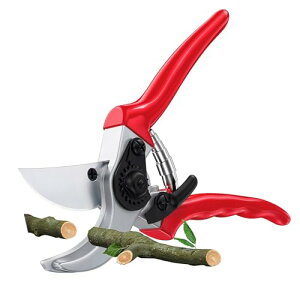 ΂  }K| ɂ ₷b}؂oT~ |nT~ Ԑ؂oT~  ʎ  ~ 뉀 K[fjO ϗtA ΂ v[g