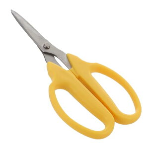 OR[|[V sita TrɋXeXn}MUn A007