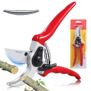 Mukari 8.5C`SK5{| oCpX nT~ 5{sv 荞݂͂ ȗ͐lԍHwnh ʎԙ~ jphCcZp lG|H hKϋvy SbN@\