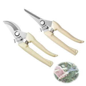 SHSHANLC y2{ZbgzoT~ XeX |nT~ }؂oT~  nT~ ʎ  |p͂ ΂ ΂ ^ y K[fjO |pi }؂͂ 